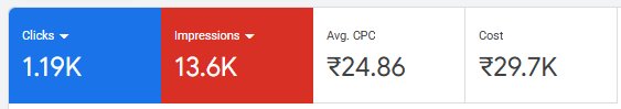 Google Ads campaign performance, client name hidden for confidentiality